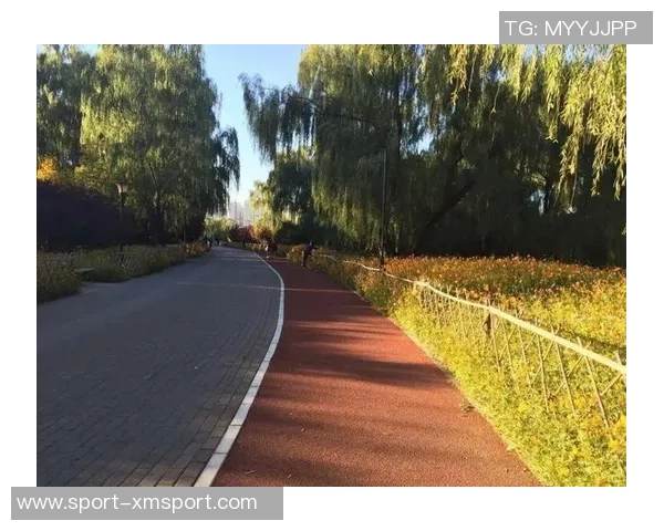 朝阳公园足球场预定指南及注意事项详解助您轻松安排活动 朝阳公园足球场预定指南及注意事项详解助您轻松安排活动