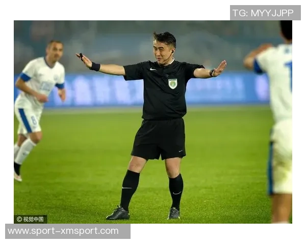 足球裁判判罚视频解析与争议判决的深度剖析与讨论